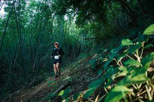 BIB: 
                            <button type="button" onclick="openModal(28124989)" class="btn btn-primary btn-sm float-right btn-popup" data-toggle="modal" data-target=".modal-high-quality">
                        <i class="fas fa-shopping-cart"></i> Add to Cart
                    </button>
                                            <button type="button" onclick="isThisMe(28124989, true)" class="btn btn-success btn-sm float-right btn-popup btn-isme hidden" data-toggle="tooltip" data-placement="bottom" title="นี่คือรูปของคุณใช่ไหม คลิกที่นี่เพื่อเอาเข้าอัลบั้ม">
                        <i class="fas fa-plus"></i> Add to album
                    </button>
                    <button type="button" onclick="isThisMe(28124989, false)" class="btn btn-warning btn-sm float-right btn-popup btn-isnotme hidden">
                        <i class="fas fa-ban"></i> Remove from album
                    </button>